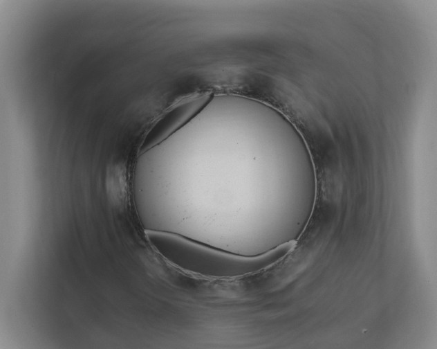 X0000111951298200908031150