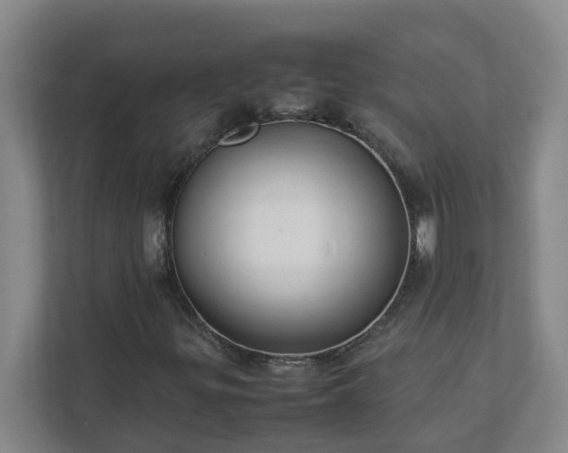 X0000111951299200908031150