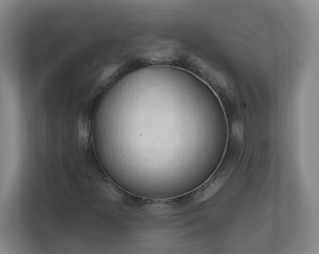 X0000111951300200908031150