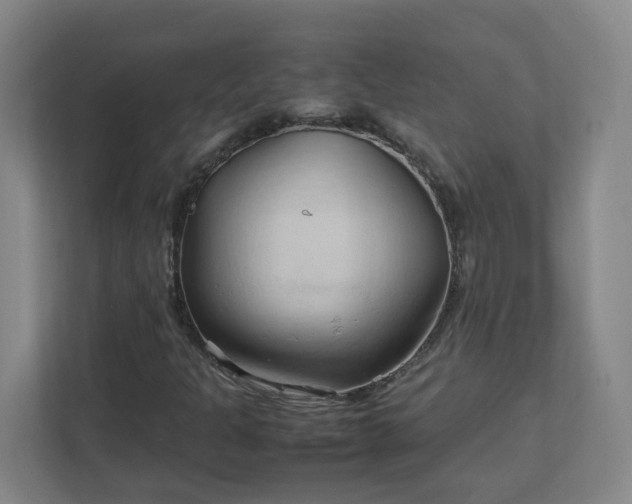 X0000111951301200908031150