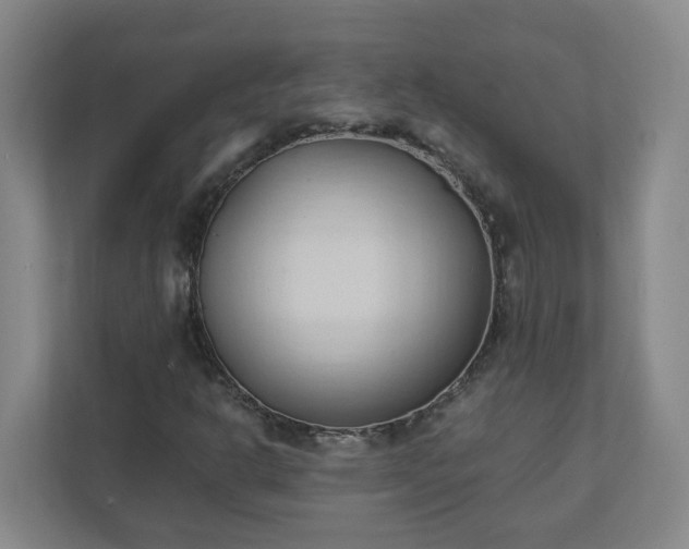 X0000111951302200908031150