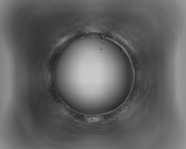 X0000111951303200908031150