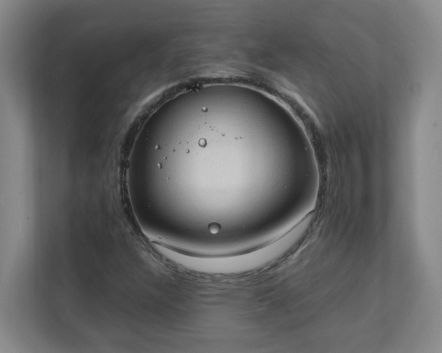 X0000111951304200908031150