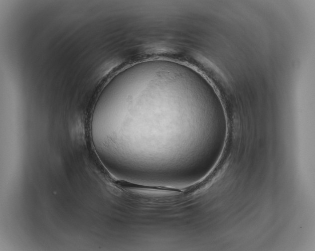 X0000111951305200908031150