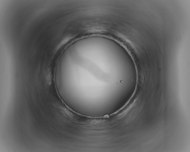 X0000111951306200908031150