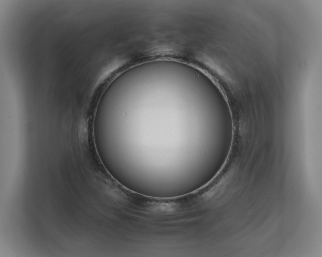X0000111951309200908031150