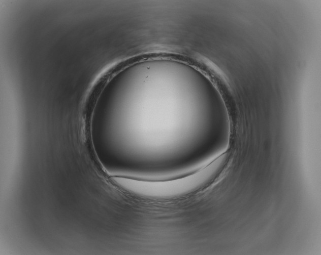 X0000111951310200908031150