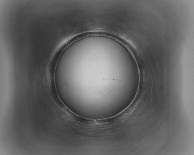 X0000111951311200908031150