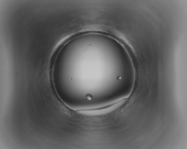 X0000111951312200908031150