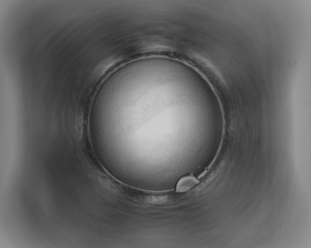 X0000111951313200908031150
