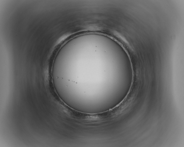 X0000111951315200908031150