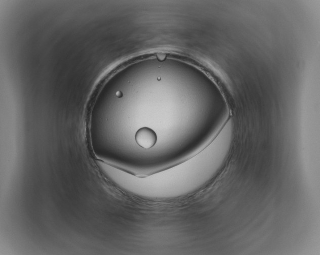 X0000111951316200908031150