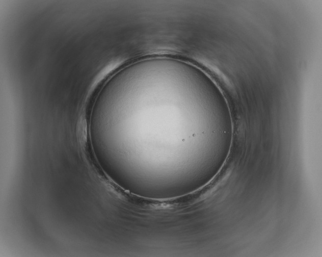 X0000111951317200908031150