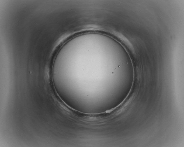X0000111951318200908031150