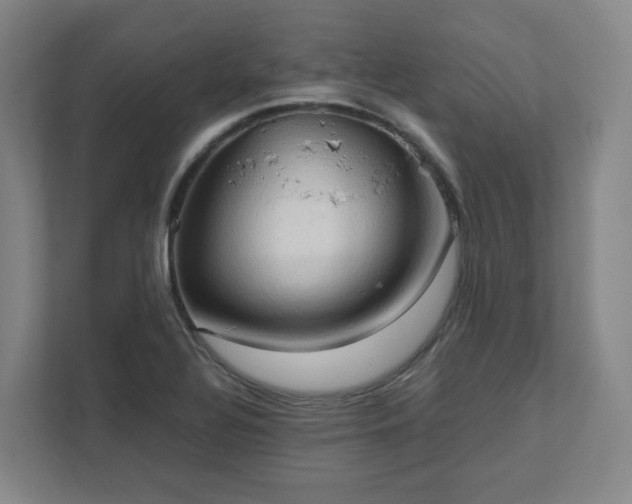 X0000111951320200908031150