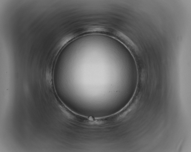 X0000111951321200908031150