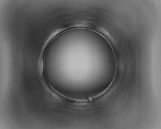 X0000111951323200908031150