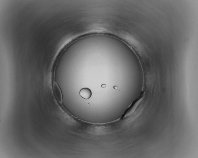 X0000111951326200908031150