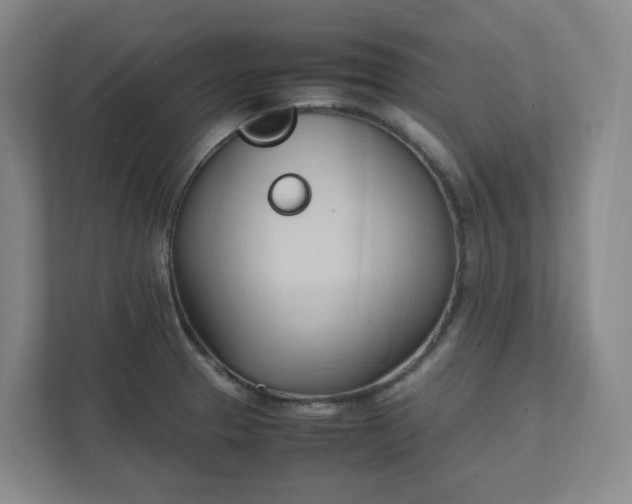 X0000111951329200908031150