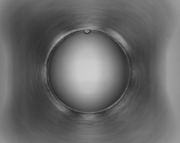 X0000111951332200908031150