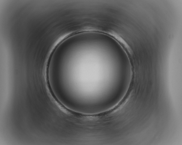 X0000111951333200908031150