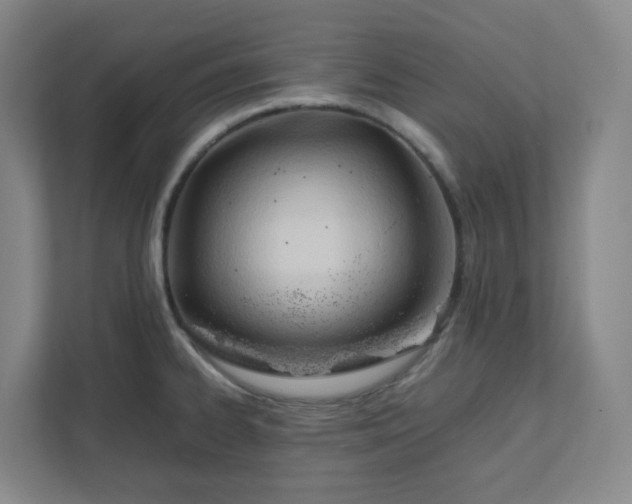 X0000111951334200908031150