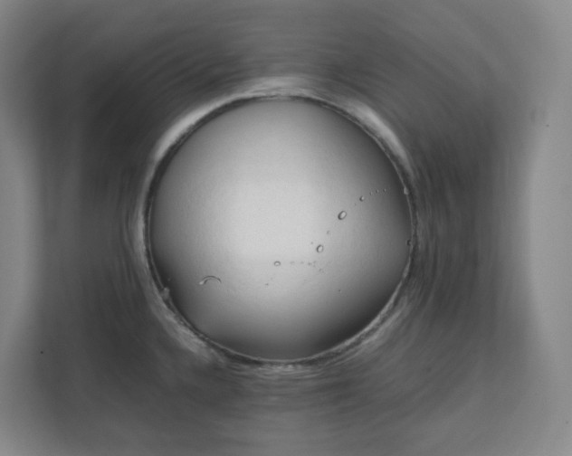X0000111951336200908031150