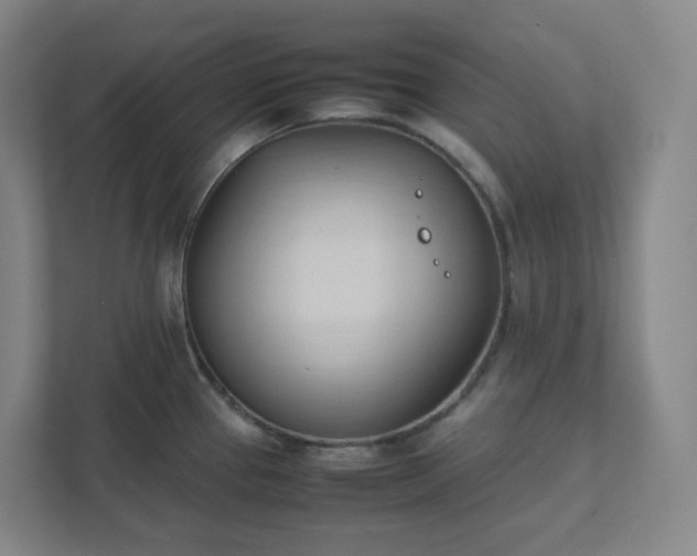 X0000111951337200908031150