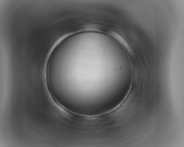 X0000111951339200908031150