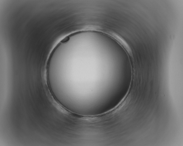X0000111951340200908031150