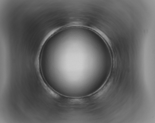 X0000111951341200908031150