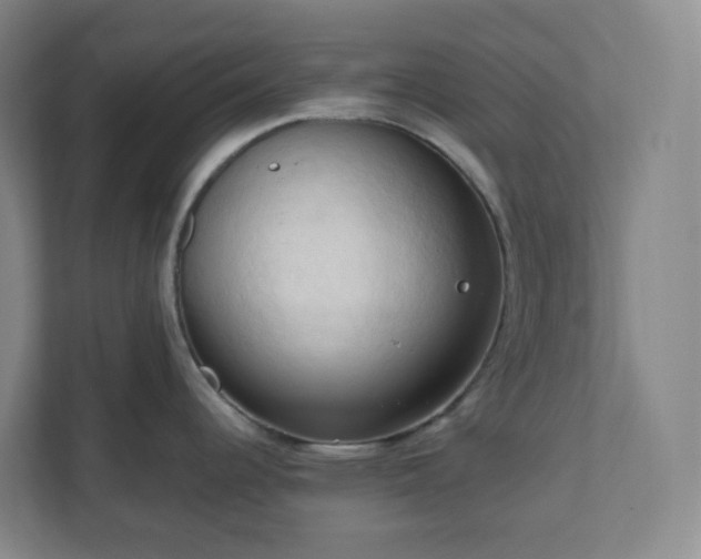 X0000111951344200908031150