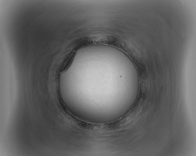 X0000111951345200908031150