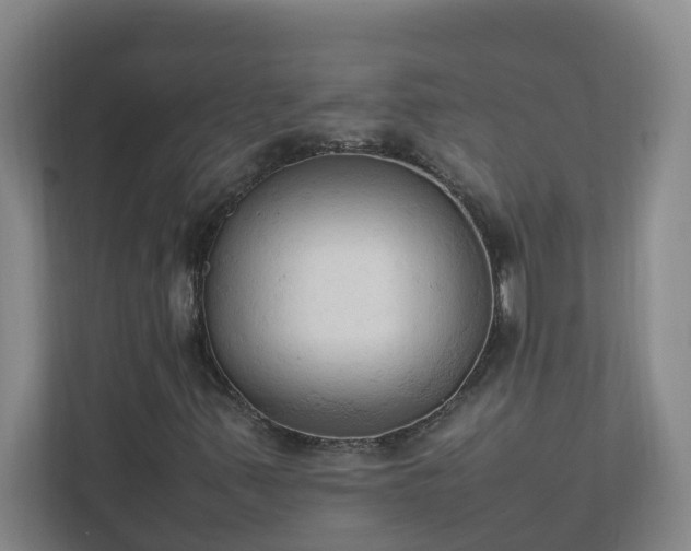 X0000111951347200908031150