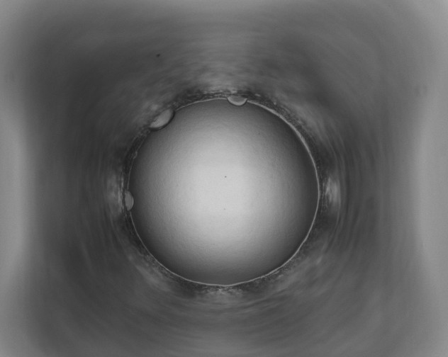 X0000111951348200908031150