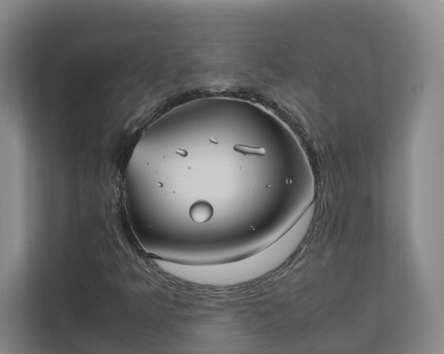 X0000111951349200908031150