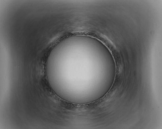 X0000111951350200908031150
