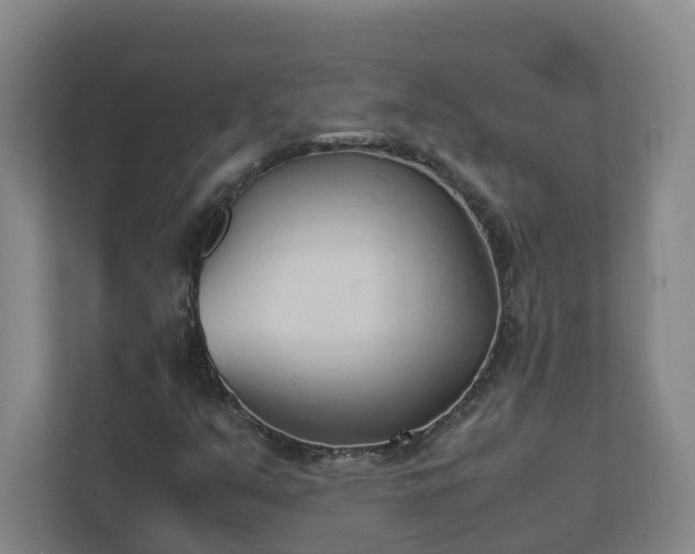X0000111951351200908031150