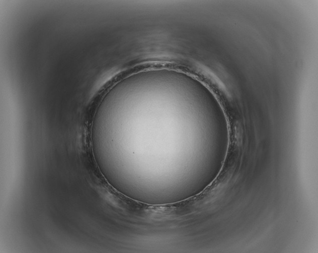 X0000111951352200908031150