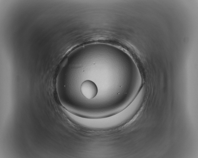 X0000111951353200908031150