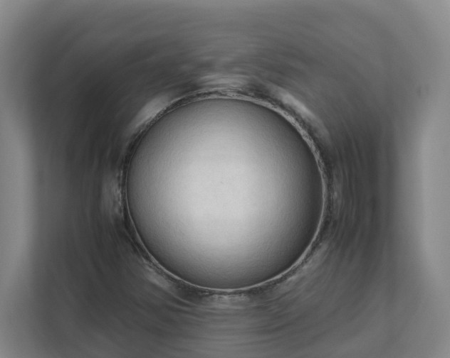 X0000111951354200908031150