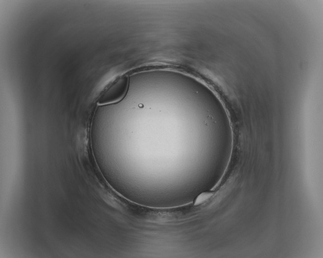 X0000111951355200908031150