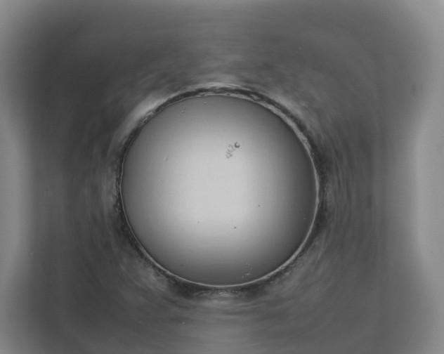 X0000111951359200908031150