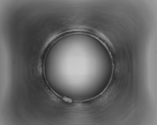 X0000111951360200908031150