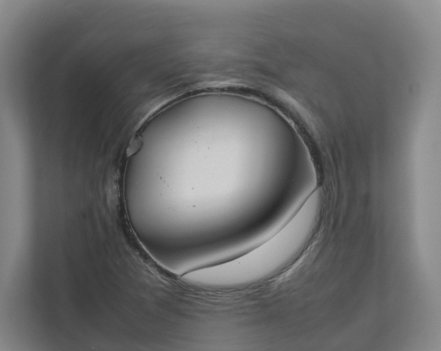 X0000111951361200908031150