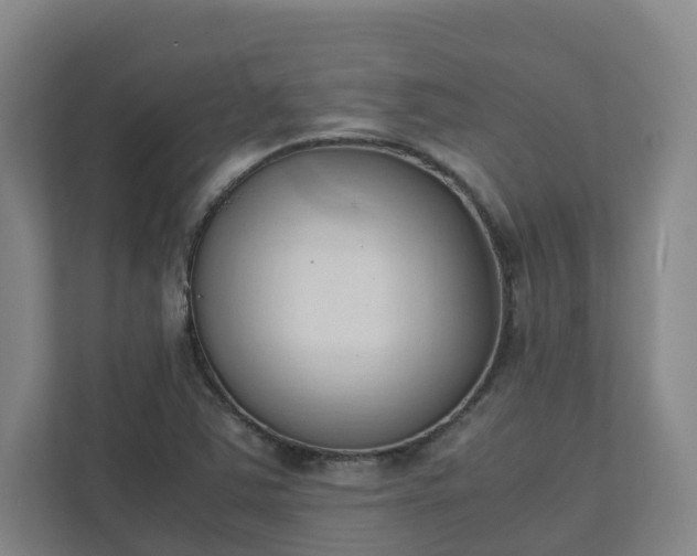 X0000111951363200908031150