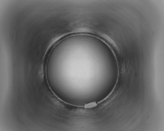 X0000111951364200908031150