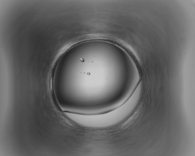 X0000111951365200908031150