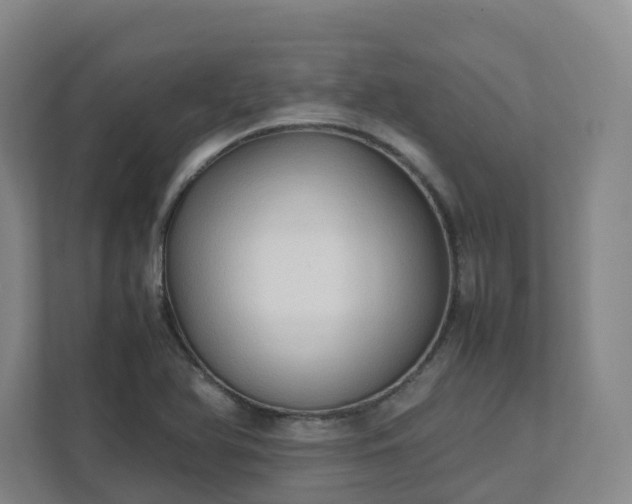 X0000111951366200908031149