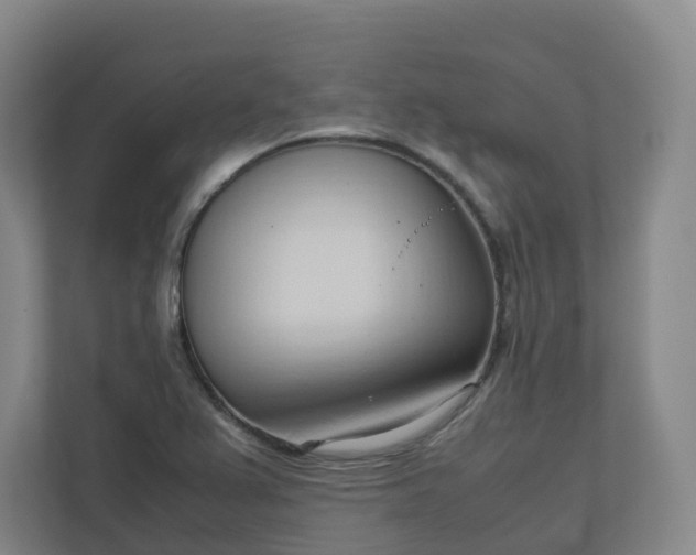 X0000111951367200908031149